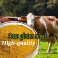 Fabricant Supply Corn Gluten Meal Prix